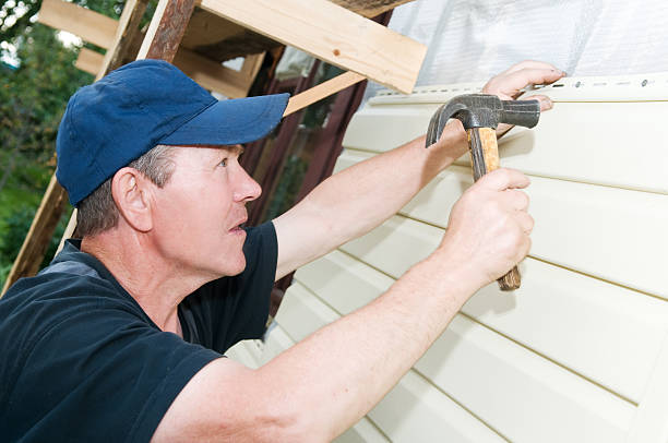 Best Custom Siding Design  in Lewisburg, WV