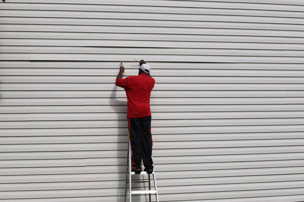 Best Siding Maintenance  in Lewisburg, WV